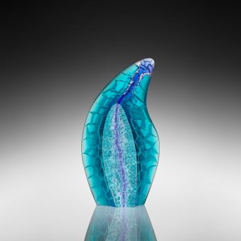 Seaforms 428-24